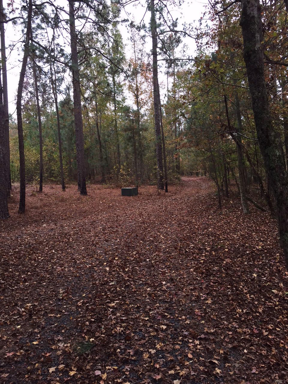 356 Ashemont Road Aberdeen, NC 28315 - Photo 5 of 5 Ashemont Land