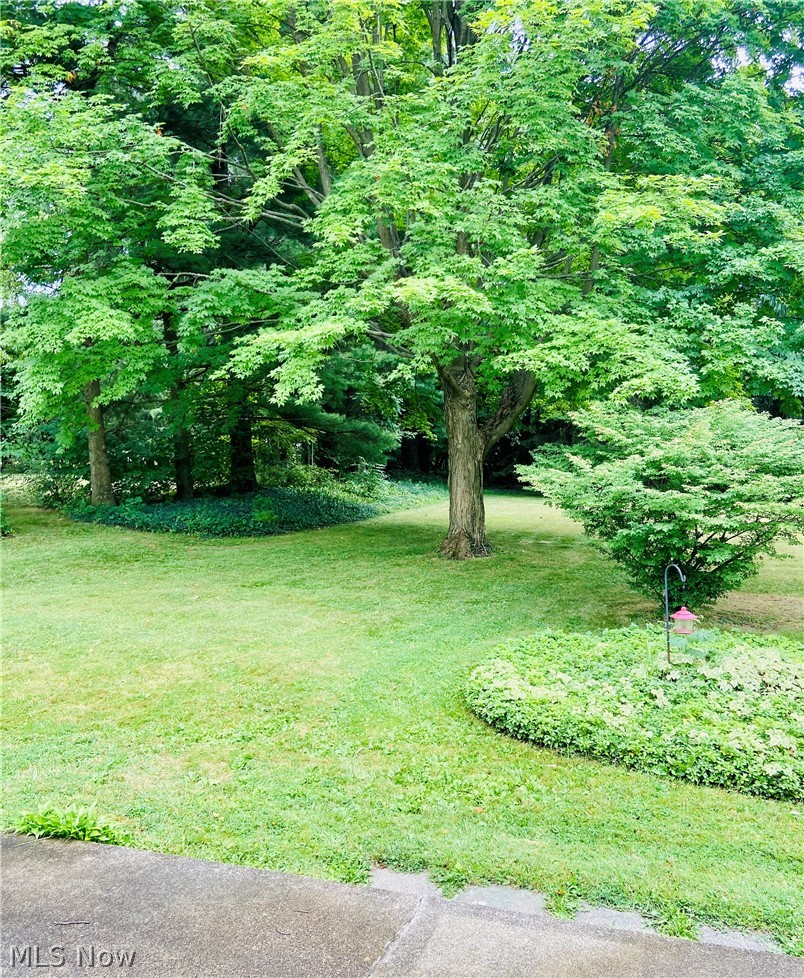3166 Oser Road Norton, OH 44203 - Photo 8 of 32