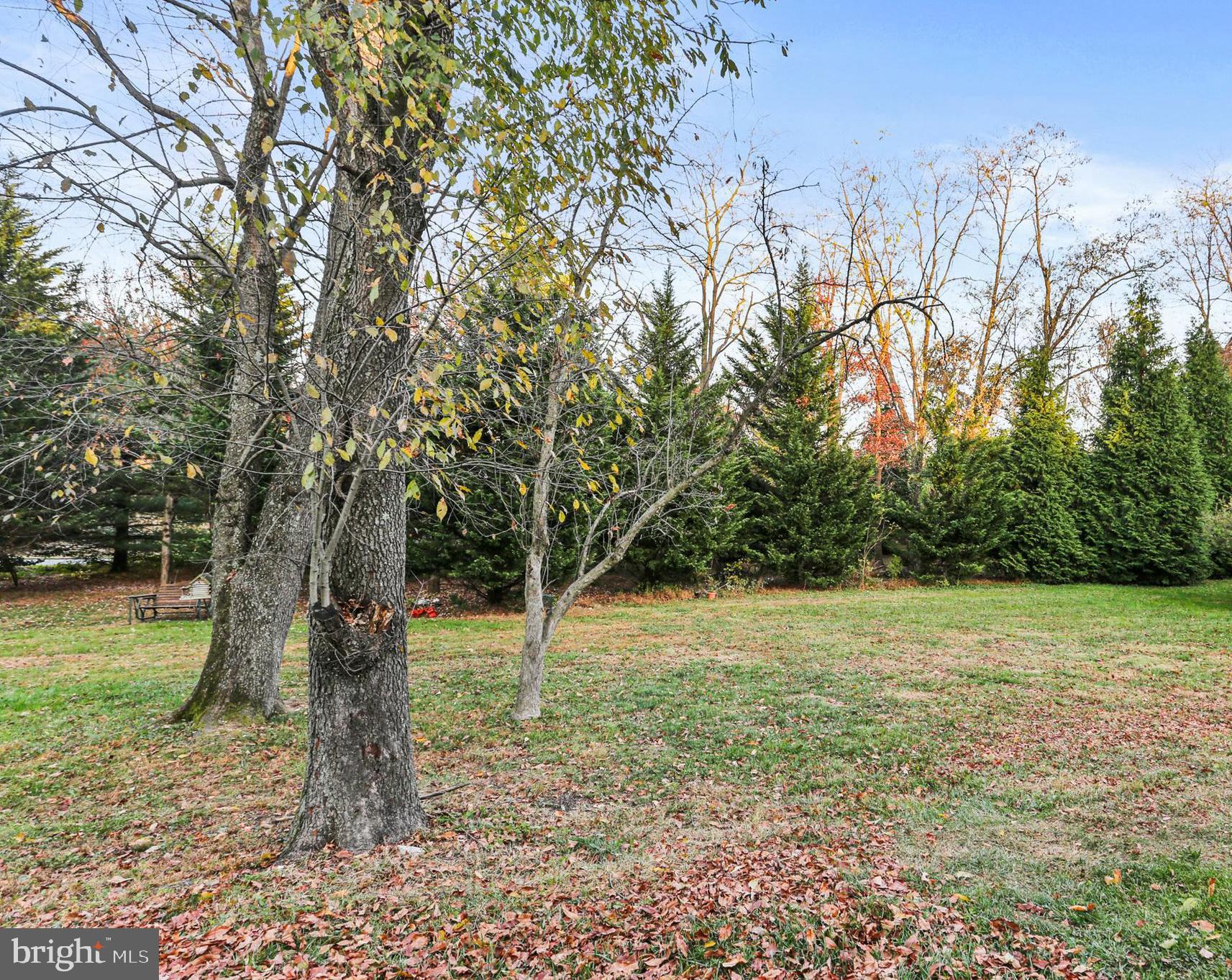 5813 Humblebee Road Columbia, MD 21045 - Photo 22 of 26 Relax with no neighbors in sight