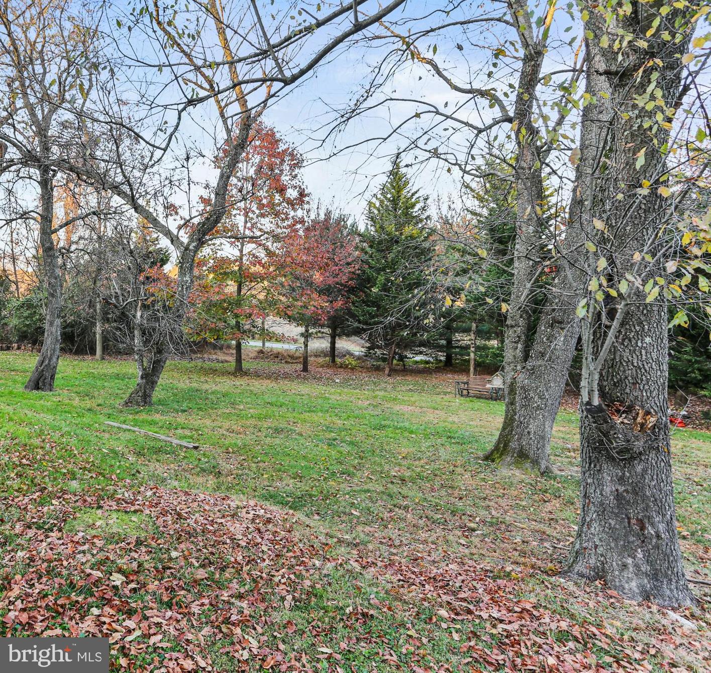 5813 Humblebee Road Columbia, MD 21045 - Photo 23 of 26 Open space for play or watching nature
