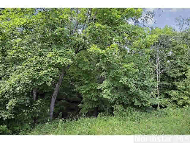 5606 Kramer Road Minnetrista, MN 55364 - Photo 17 of 18