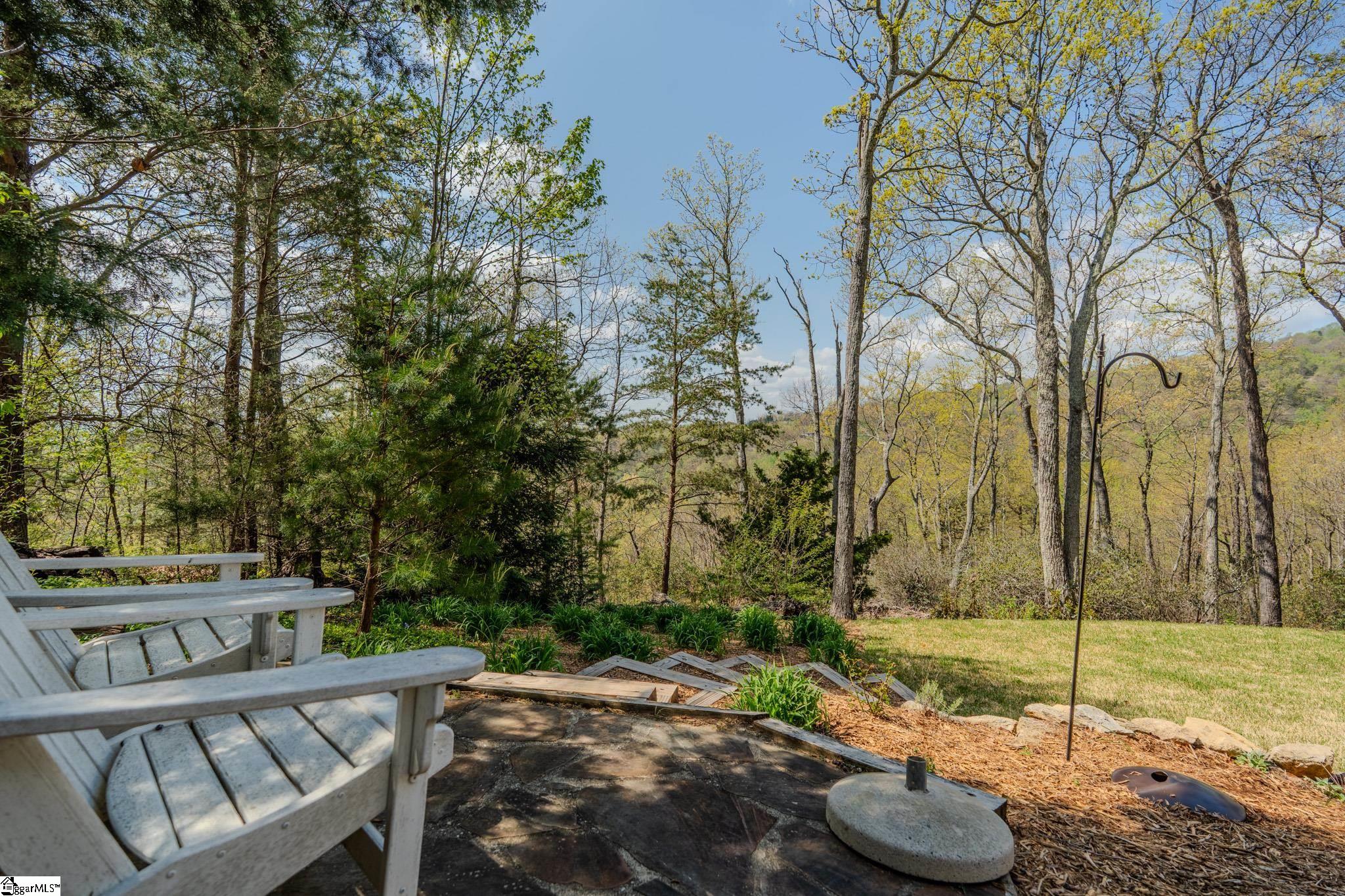 202 Eagle Rock Road Landrum, SC 29356 - Photo 45 of 50