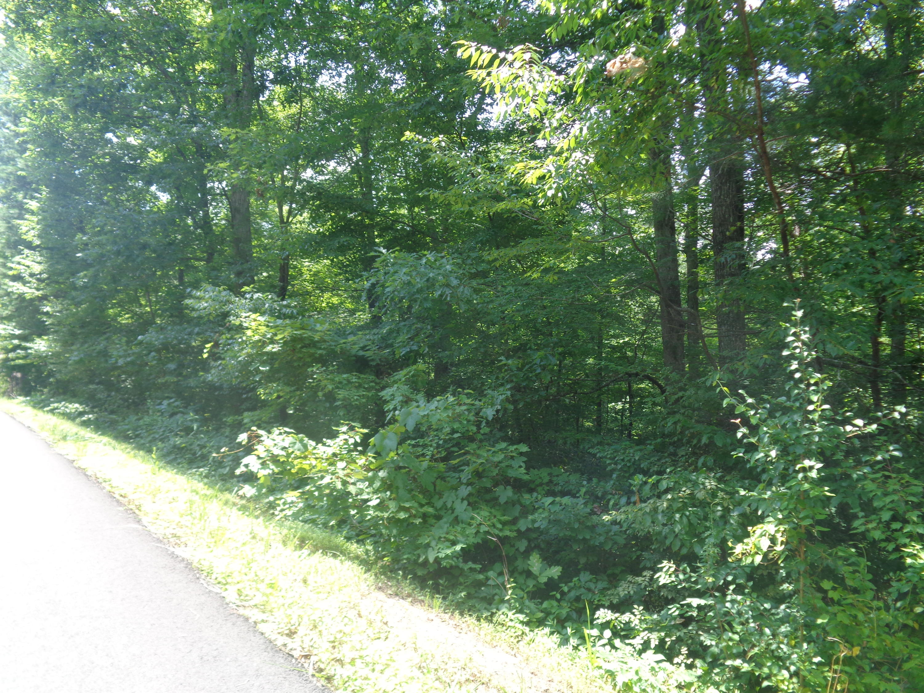 Lot 33 Cliffs Edge Road East Bernstadt, KY 40729 - Photo 1 of 8 DSC05337