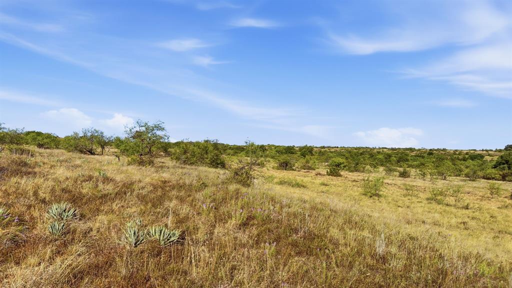Lot 46 Twisted Creek Ranch Gustine, TX 76455 - Photo 10 of 25 Gallery Image 10