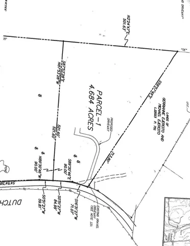 a view of a yard with plants and trees