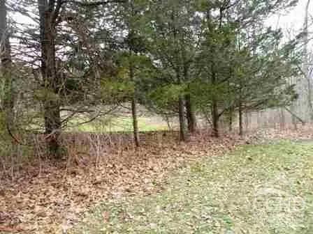 a view of outdoor space with lots of trees