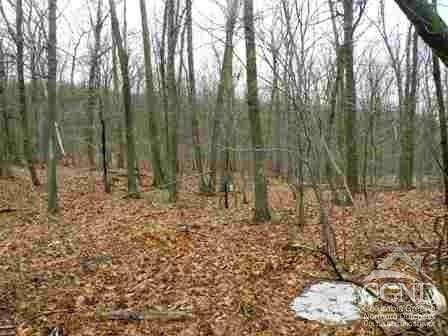 620 Bean River Road Pine Plains, NY 12546 - Photo 4 of 7 a view of outdoor space with lots of trees