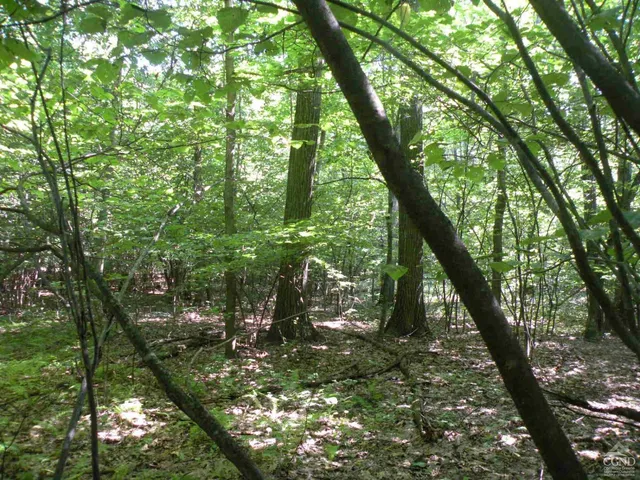 $139,000 | 620 Bean River Road, Pine Plains, NY 12546