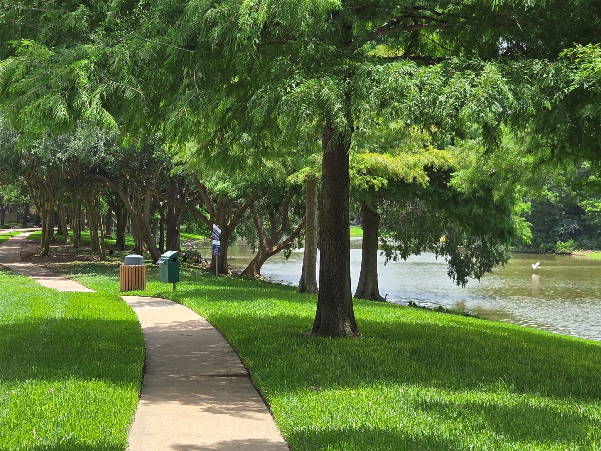 3138 Waters Way Drive Sugar Land, TX 77478 - Photo 37 of 42 a view of a park with a tree
