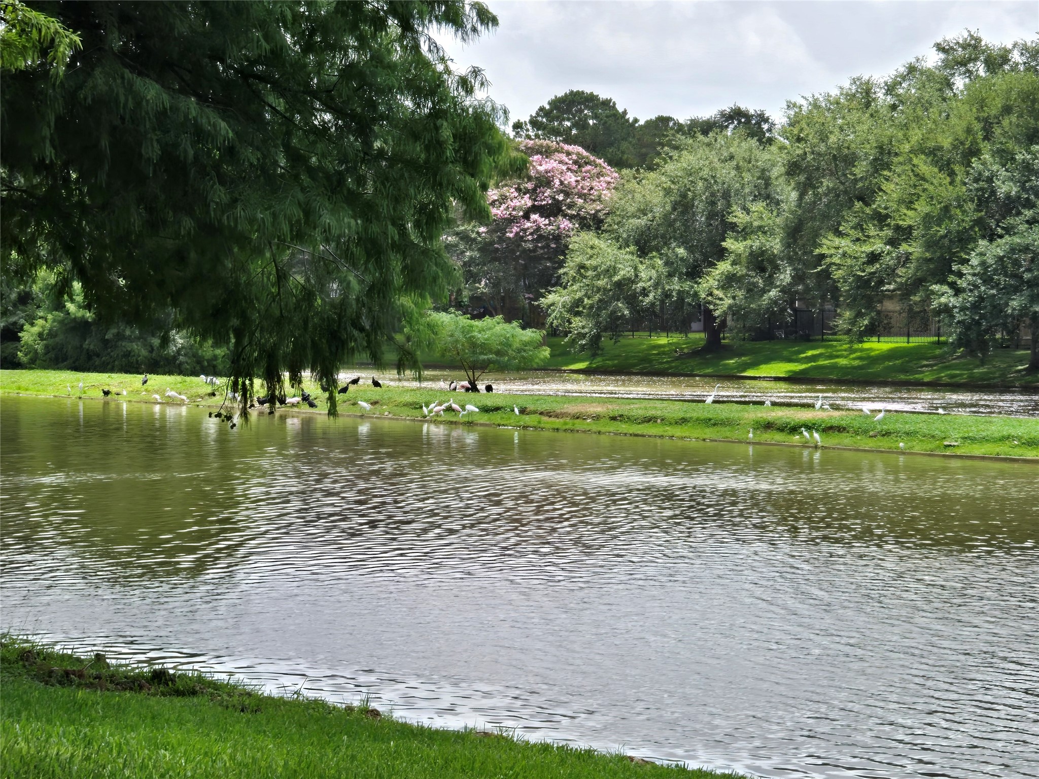 3138 Waters Way Drive Sugar Land, TX 77478 - Photo 40 of 42 a view of a golf course with a lake