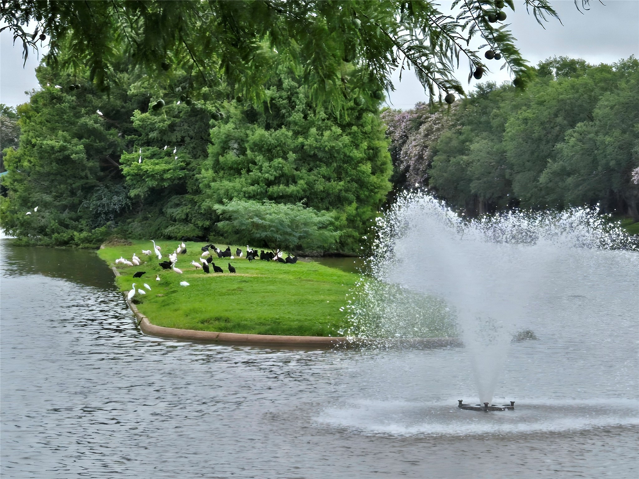 3138 Waters Way Drive Sugar Land, TX 77478 - Photo 41 of 42 a view of a backyard