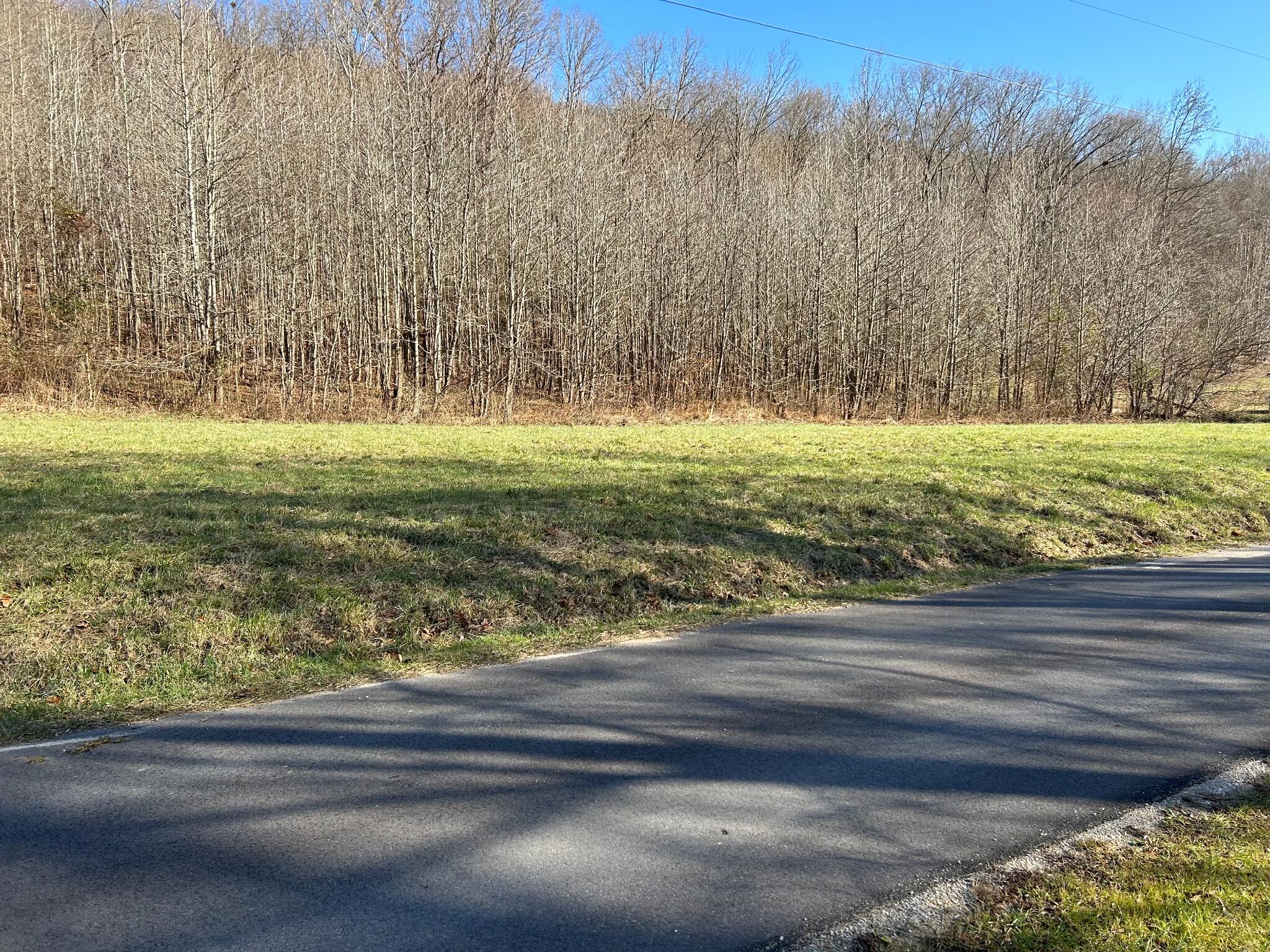 4 Blue Springs Road Vanceburg, KY 41179 - Photo 2 of 6 2C8DE6D2-7244-4F3C-9C51-5CE92A526CFA