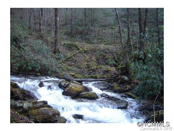 0 Reservation Road Maggie Valley, NC 28751 - Photo 12 of 24 Gallery Image 12