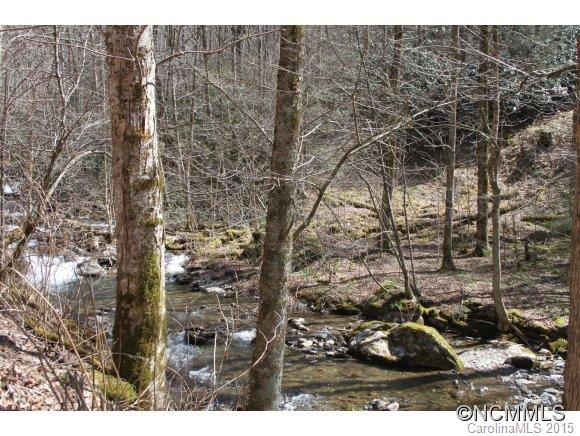 0 Reservation Road Maggie Valley, NC 28751 - Photo 17 of 24 Gallery Image 17