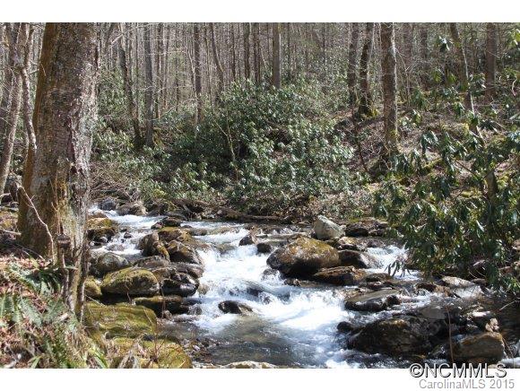 0 Reservation Road Maggie Valley, NC 28751 - Photo 18 of 24 Gallery Image 18
