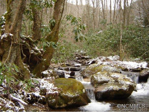0 Reservation Road Maggie Valley, NC 28751 - Photo 3 of 24 Gallery Image 3