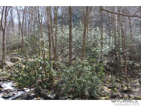 0 Reservation Road Maggie Valley, NC 28751 - Photo 8 of 24 Gallery Image 8