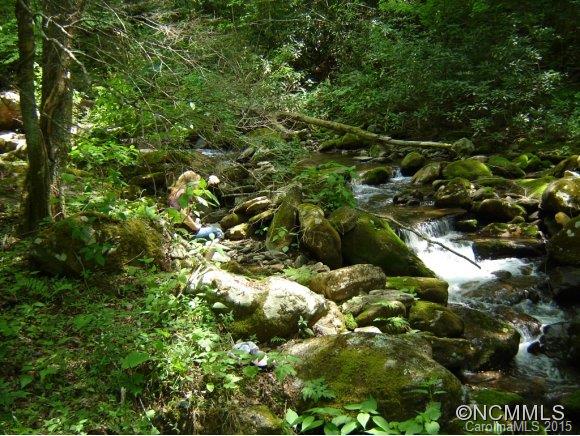 0 Reservation Road Maggie Valley, NC 28751 - Photo 9 of 24 Gallery Image 9