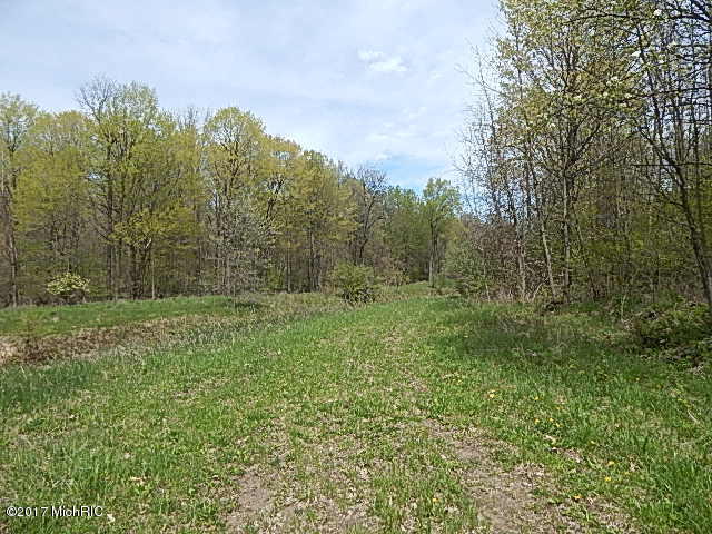 100 South Castor Road St. Louis, MI 48880 - Photo 3 of 7 DSCN3498