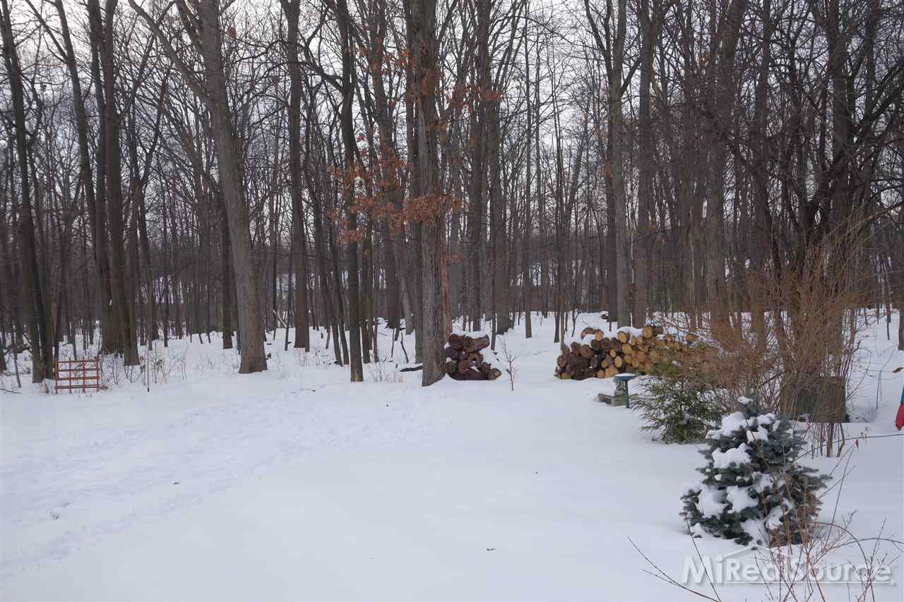 585 Plum Ridge Drive Rochester Hills, MI 48309 - Photo 2 of 24