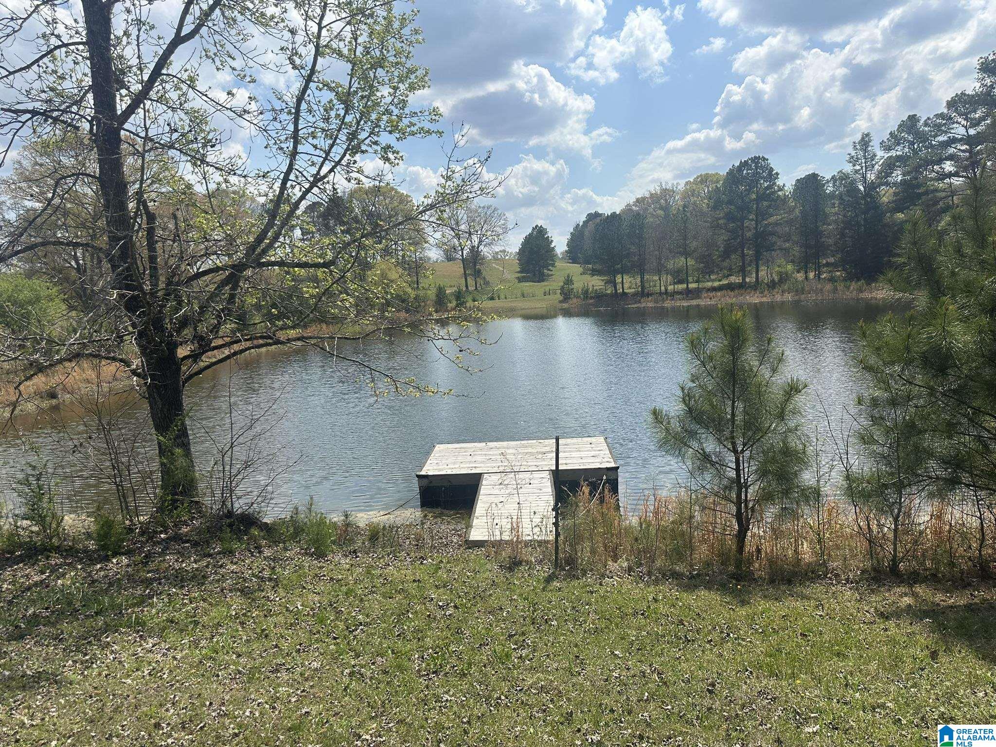 75 Mary Lee Lane Alpine, AL 35014 - Photo 15 of 77