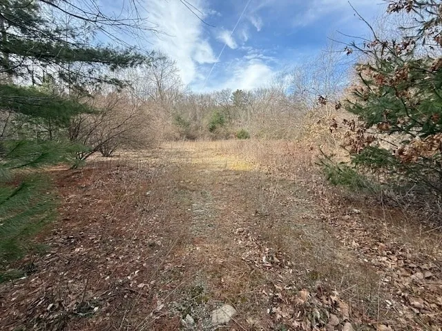 a view of a yard with a tree