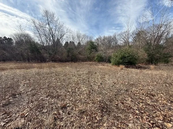 a street view with mountain view