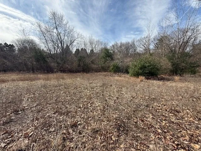 a street view with mountain view