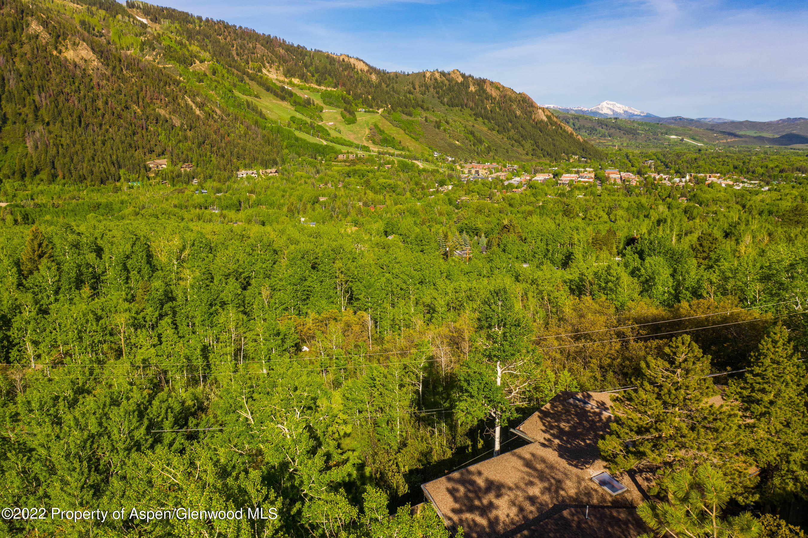 628 McSkimming Road Aspen, CO 81611 - Photo 3 of 10