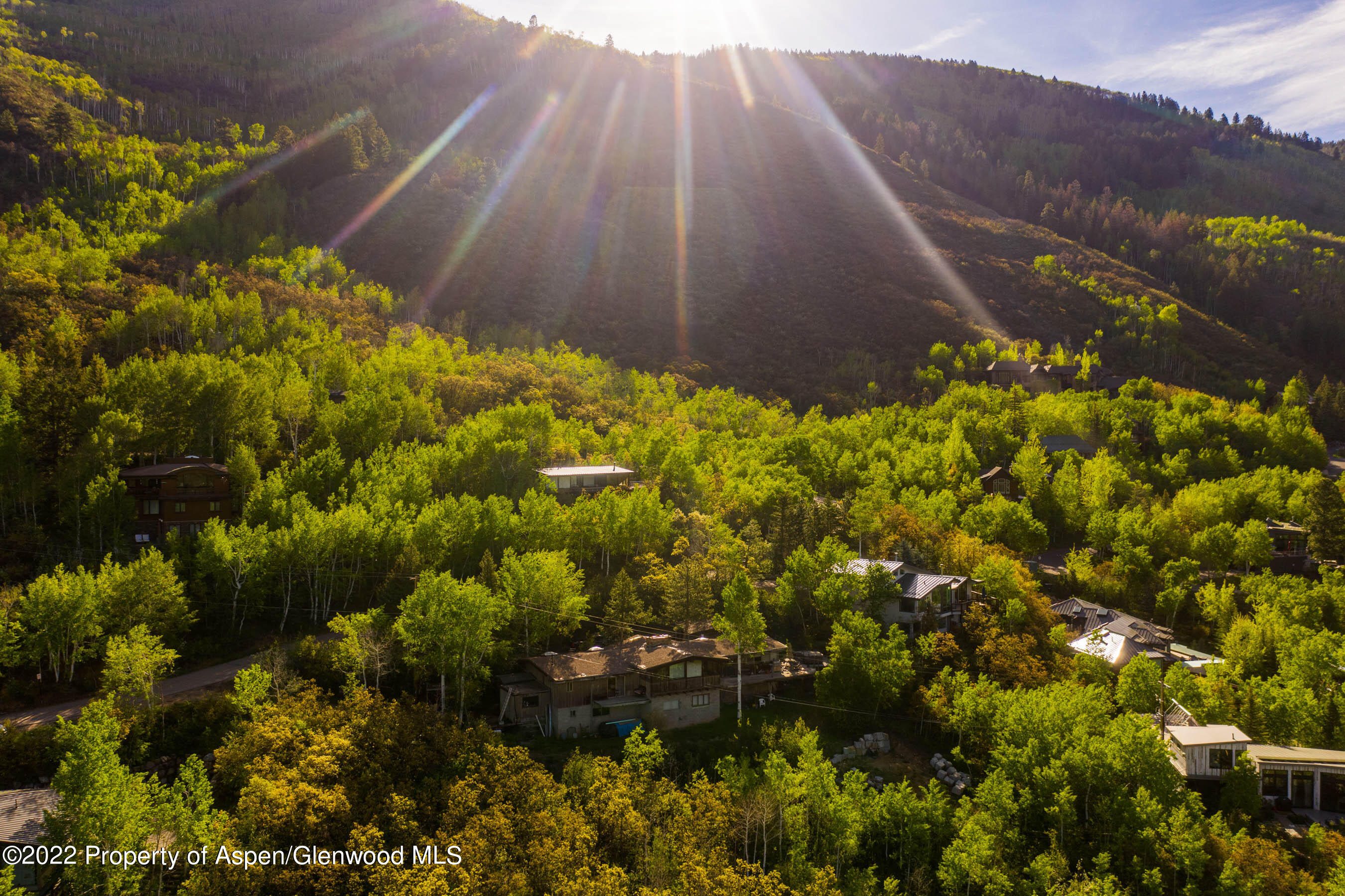 628 McSkimming Road Aspen, CO 81611 - Photo 5 of 10 a view of a yard