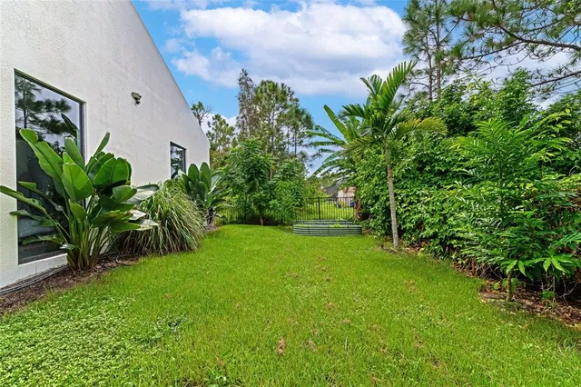 a view of a yard with plants