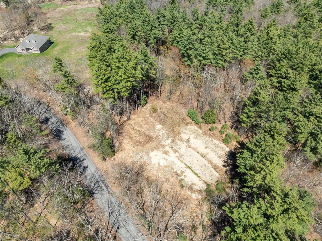 53 West Meadow Road Townsend, MA 01474 - Photo 5 of 9 a view of a yard with plants and trees
