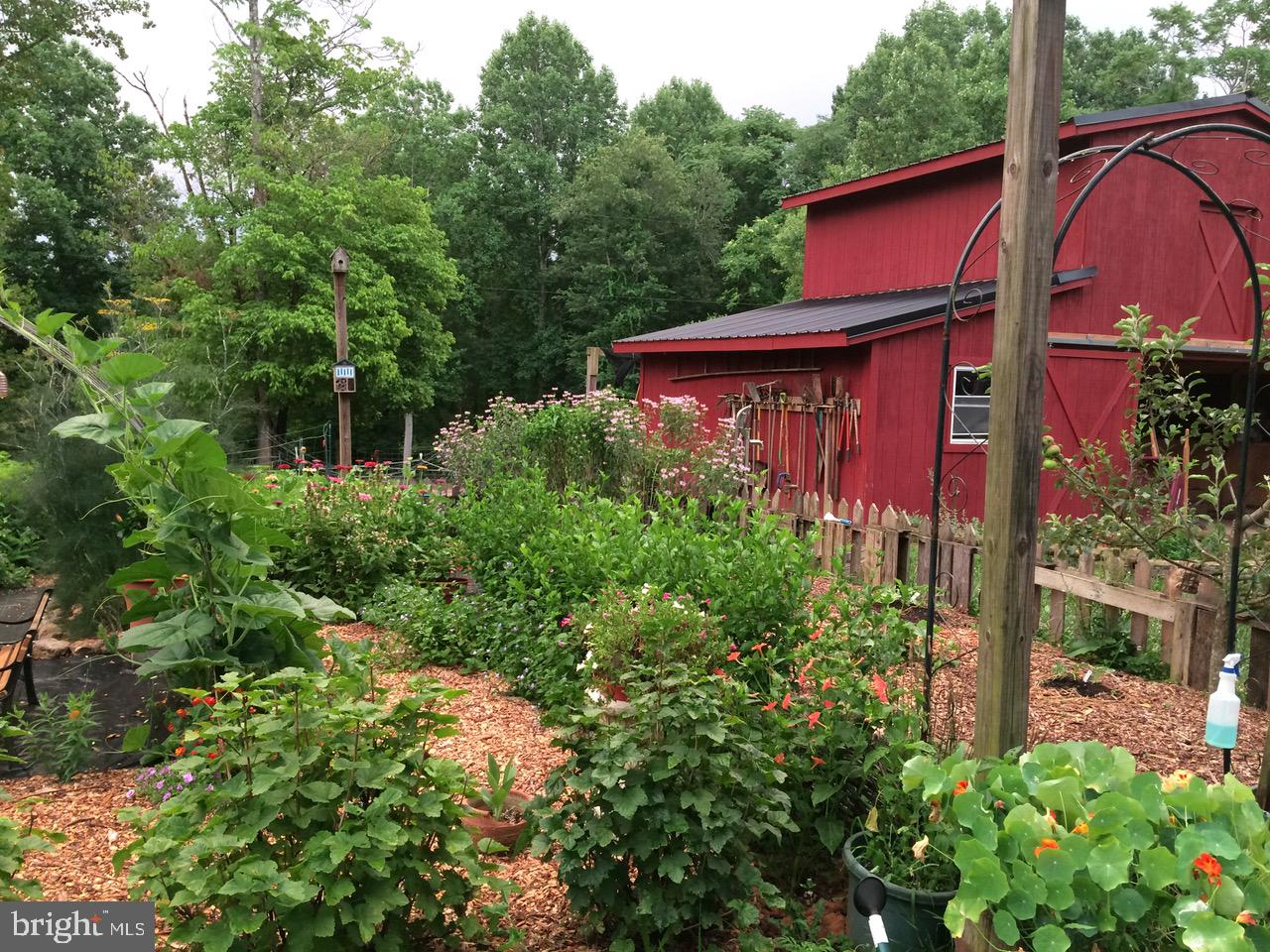 3085 Indian Run Road Amissville, VA 20106 - Photo 124 of 132