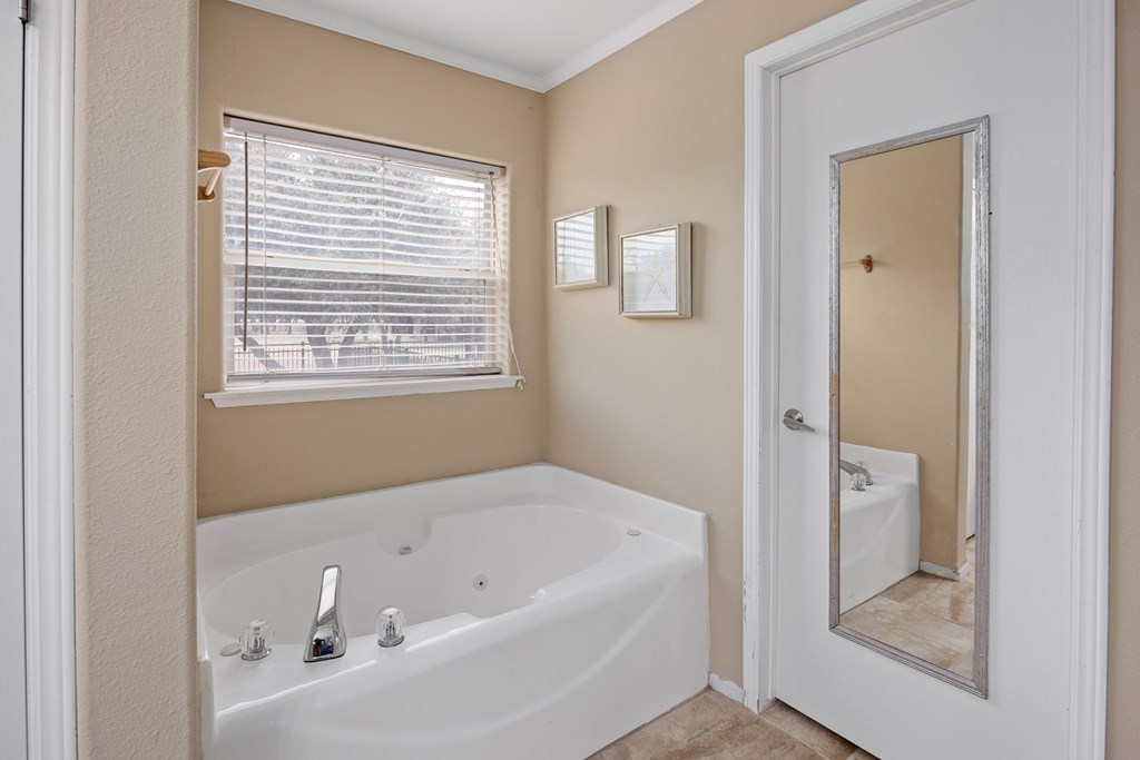 3955 Klein Branch Road Harper, TX 78631 - Photo 18 of 40 a bathroom with a tub a sink and a mirror