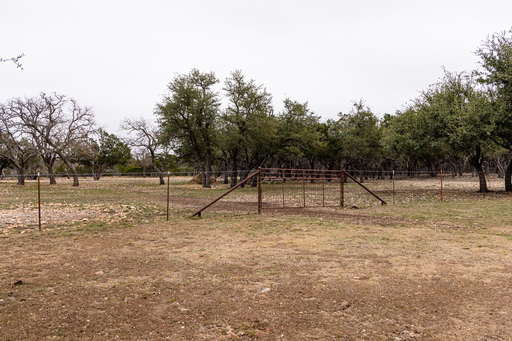 3955 Klein Branch Road Harper, TX 78631 - Photo 30 of 40 a view of a park