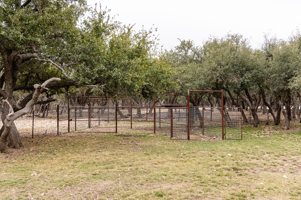 3955 Klein Branch Road Harper, TX 78631 - Photo 31 of 40 a view of swimming pool