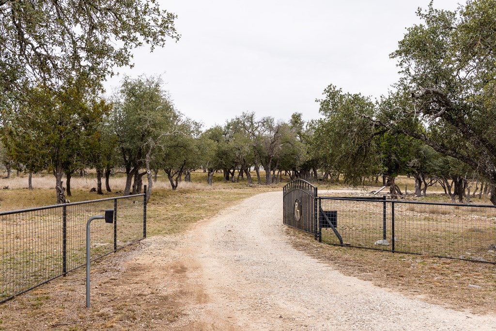 3955 Klein Branch Road Harper, TX 78631 - Photo 40 of 40 a view of street with trees