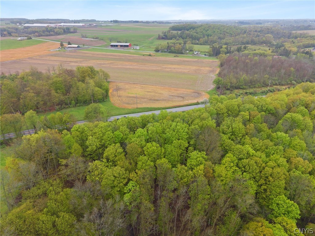 3570 Williams Road Marcellus, NY 13108 - Photo 43 of 50