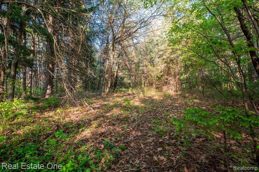 5375 Pleasant Valley Road Brighton, MI 48114 - Photo 14 of 75