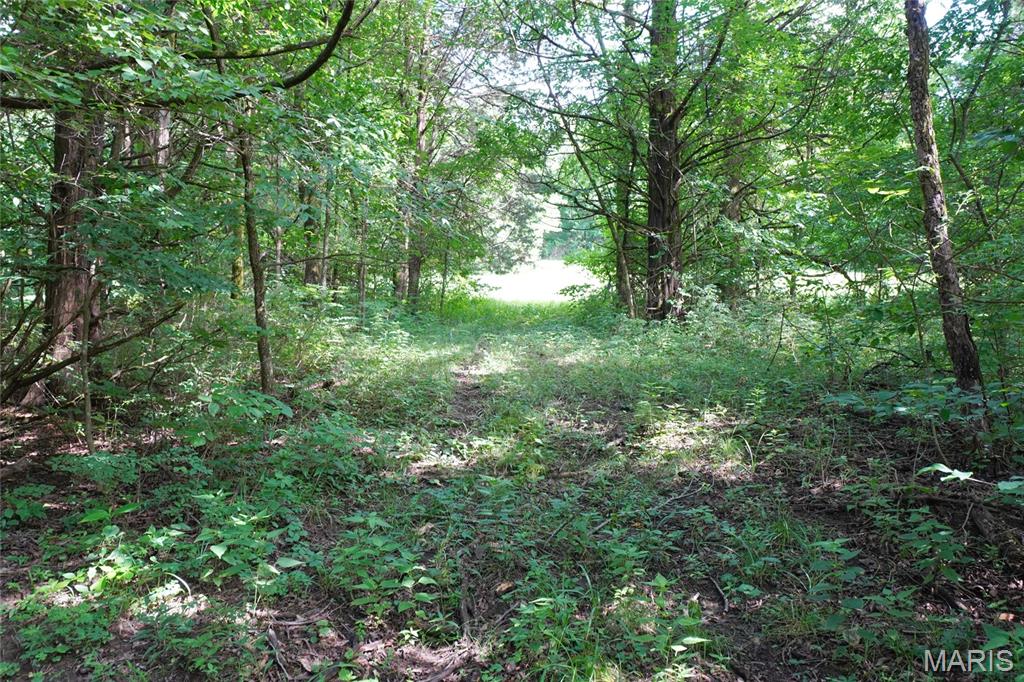 1971 Epple Road Hermann, MO 65041 - Photo 66 of 98