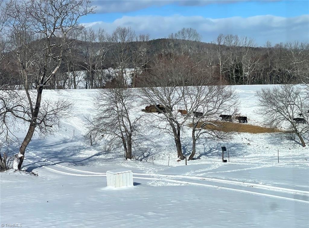 322 Layell Road Elkin, NC 28621 - Photo 39 of 46 Winter Wonderland
