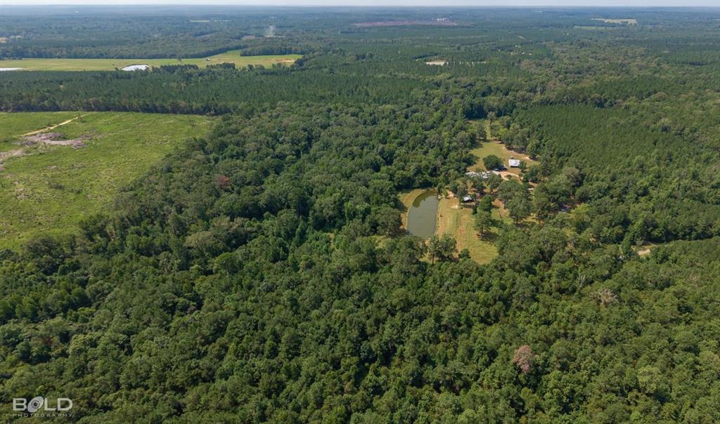 2055 Sloan Road Mansfield, LA 71052 - Photo 37 of 39 Gallery Image 37