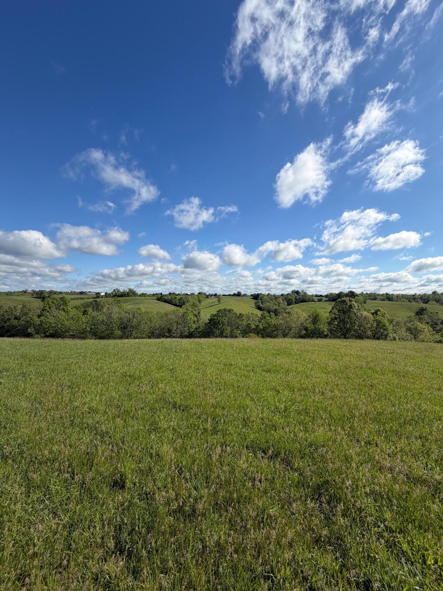 32.28-ac Chipman Ridge Road Williamstown, KY 41097 - Photo 7 of 13