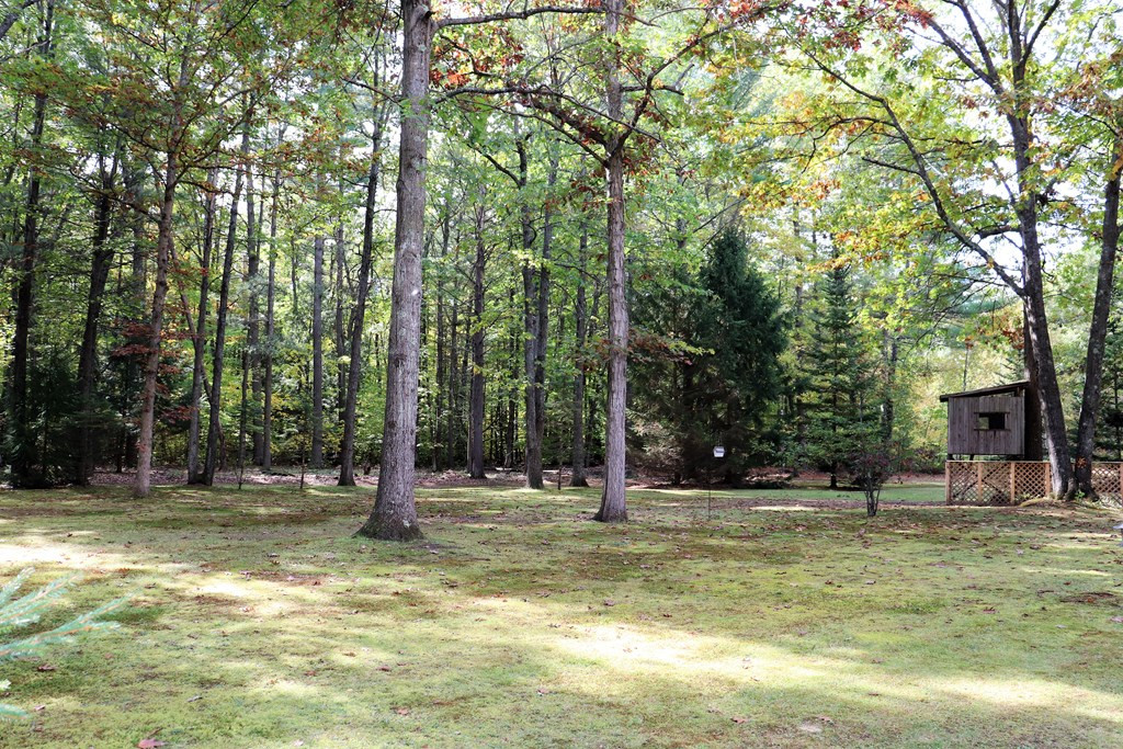 163 Bear Swamp Road Peru, NY 12972 - Photo 22 of 23