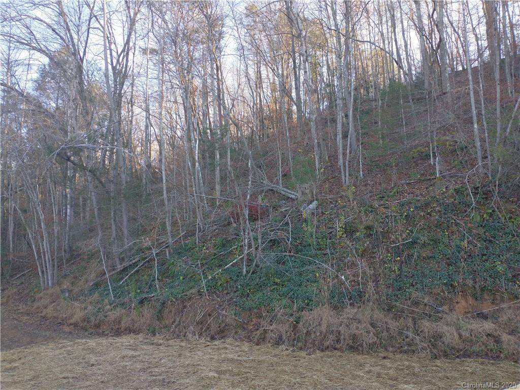 4425 Sugar Hill Road Marion, NC 28752 - Photo 36 of 46 Gallery Image 36