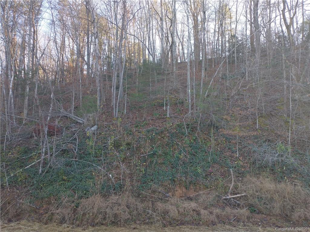 4425 Sugar Hill Road Marion, NC 28752 - Photo 37 of 46 Gallery Image 37