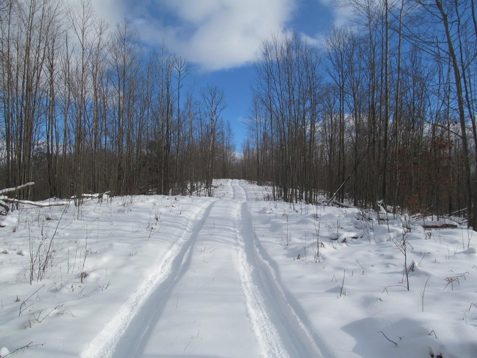 47 South 47 3/4 Road Cadillac, MI 49601 - Photo 31 of 32