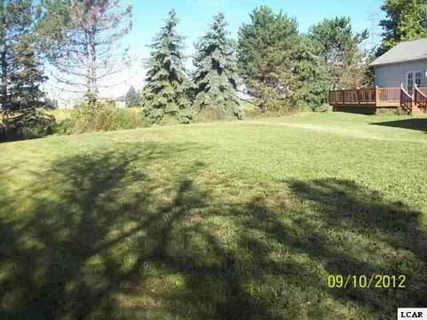 14287 Highway 223 Riga, MI 49276 - Photo 11 of 13 20101025-10.JPG