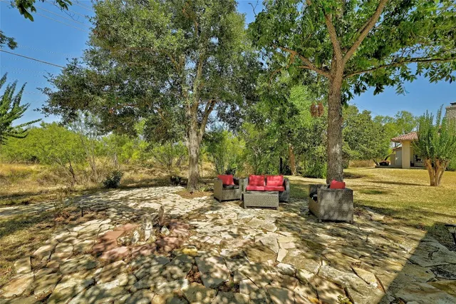 a view of a yard with a tree
