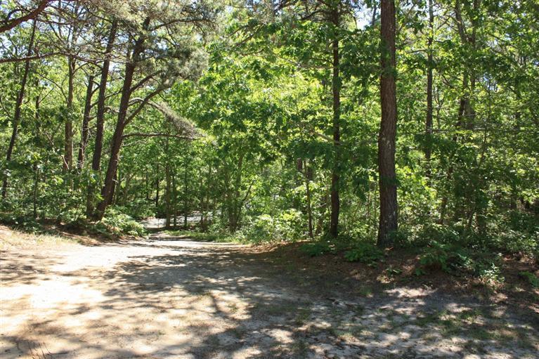 75 Herring River Road Wellfleet, MA 02667 - Photo 3 of 15 a view of outdoor space and trees